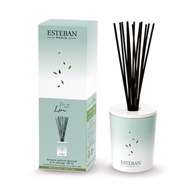 ES-Dyfuzor zapachowy dekoracyjny 100ml Pur Lin