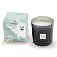 ES-Świeca zapachowa 450g Pur Lin