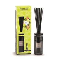 ES-Dyfuzor zapachowy 100ml Terre d'Agrumes