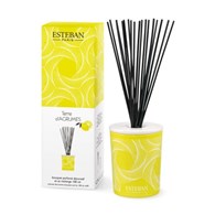 ES-Dyfuzor zapachowy dekor. 100ml Terre dAgrumes