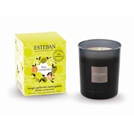 ES-Świeca zapachowa 180g Terre dAgrumes