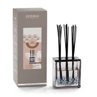 ES-Dyfuzor zapach. Triptyque 250ml IrisCachemirNEW