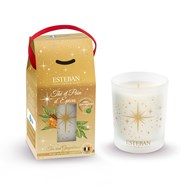 ES-Świeca świąteczna 180g Tea and Gingerbread '24